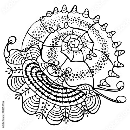 Abstract seashell line ethnic decorative ornament drawn outline isolated on white background sacred geometric decor element design print pattern vector illustration for coloring book or page for adult