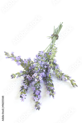 Fototapeta Naklejka Na Ścianę i Meble -  Bunch of lavender flowers