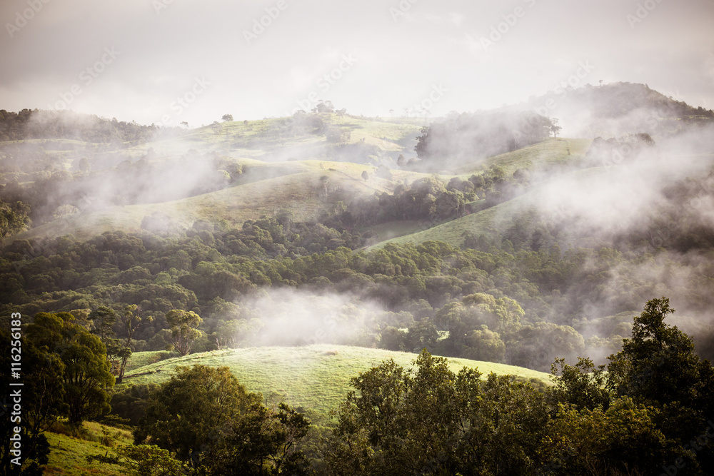 Fototapeta premium Atherton Tablelands on a Misty Morning