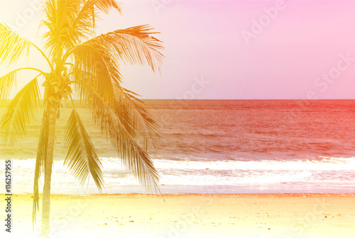 Fototapeta Naklejka Na Ścianę i Meble -  Coconut palm trees at sunset in background