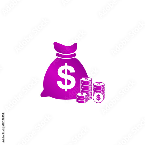 money icon. Flat design style. photo