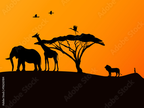 African sunset and animals