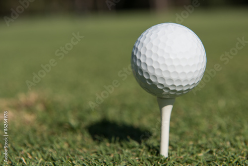 golf ball on tee