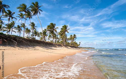 Praia do Forte (Brasil)