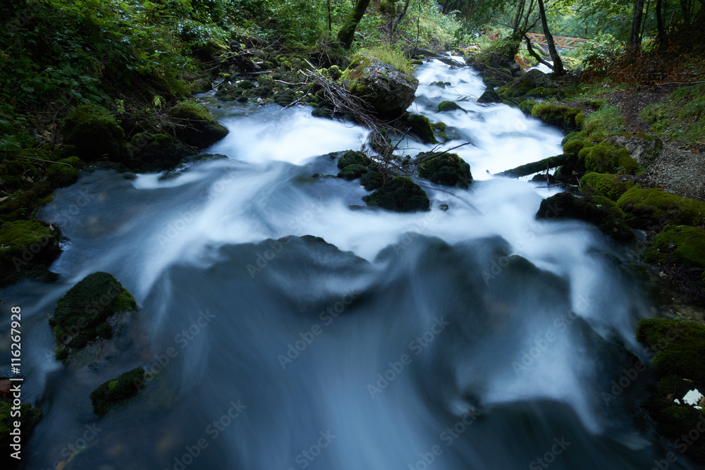 fast flowing rivers in the forests of Montenegro