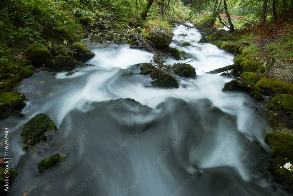 fast flowing rivers in the forests of Montenegro