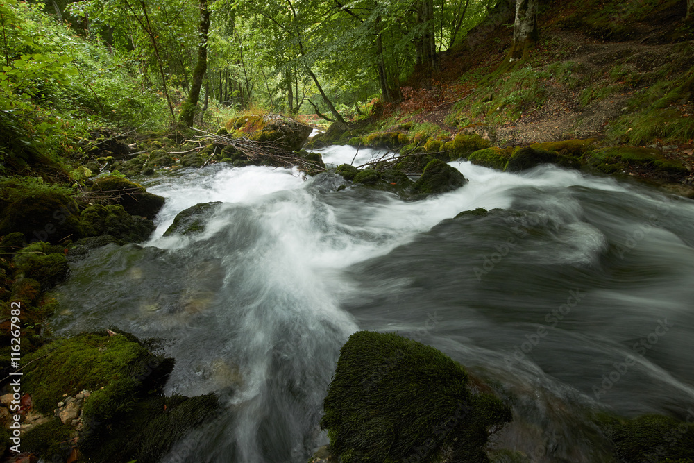 Obraz premium fast flowing rivers in the forests of Montenegro