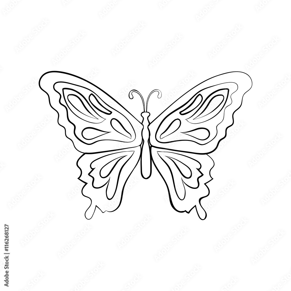 Vector sketch butterfly