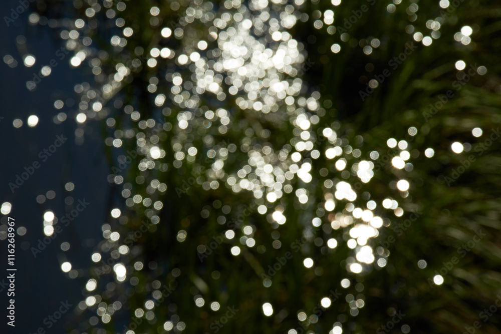 glare on the water blurred glare on the water blurred