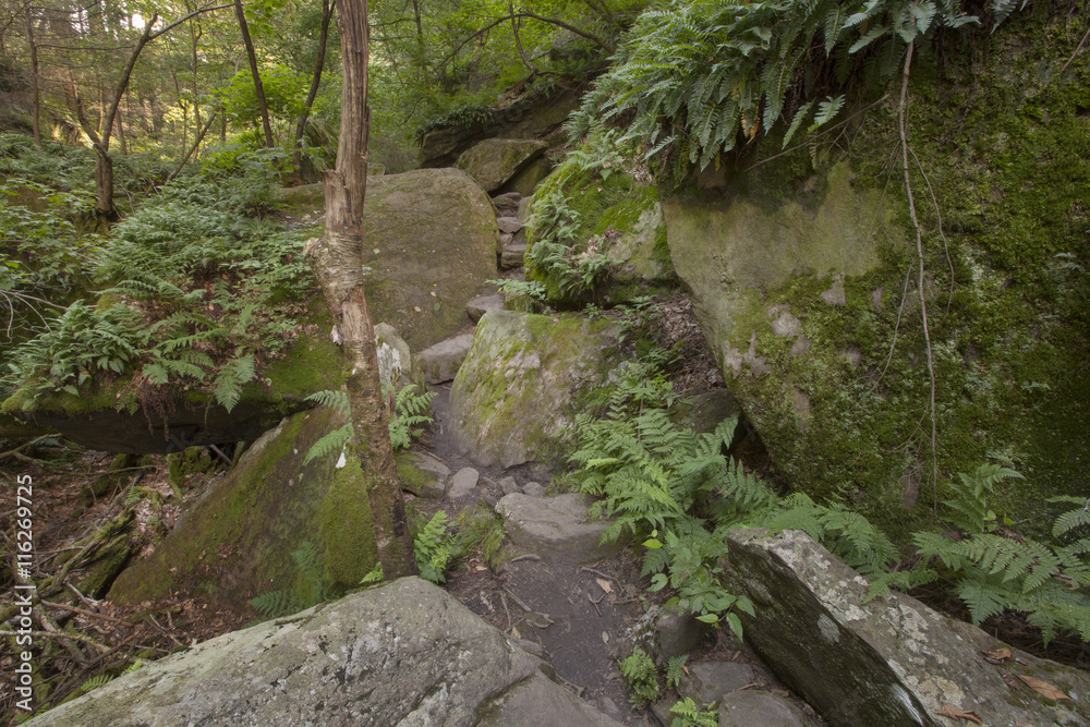 A scenic view of a hiking trail in the Ice Glen region of the Berkshire Mountains in Stockbridge, Massachusetts. A scenic view of a hiking trail in the Ice Glen region of the Berkshire Mountains in Stockbridge, Massachusetts.