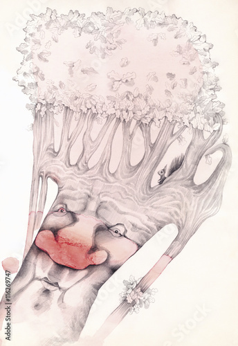 Old Oak Illustration