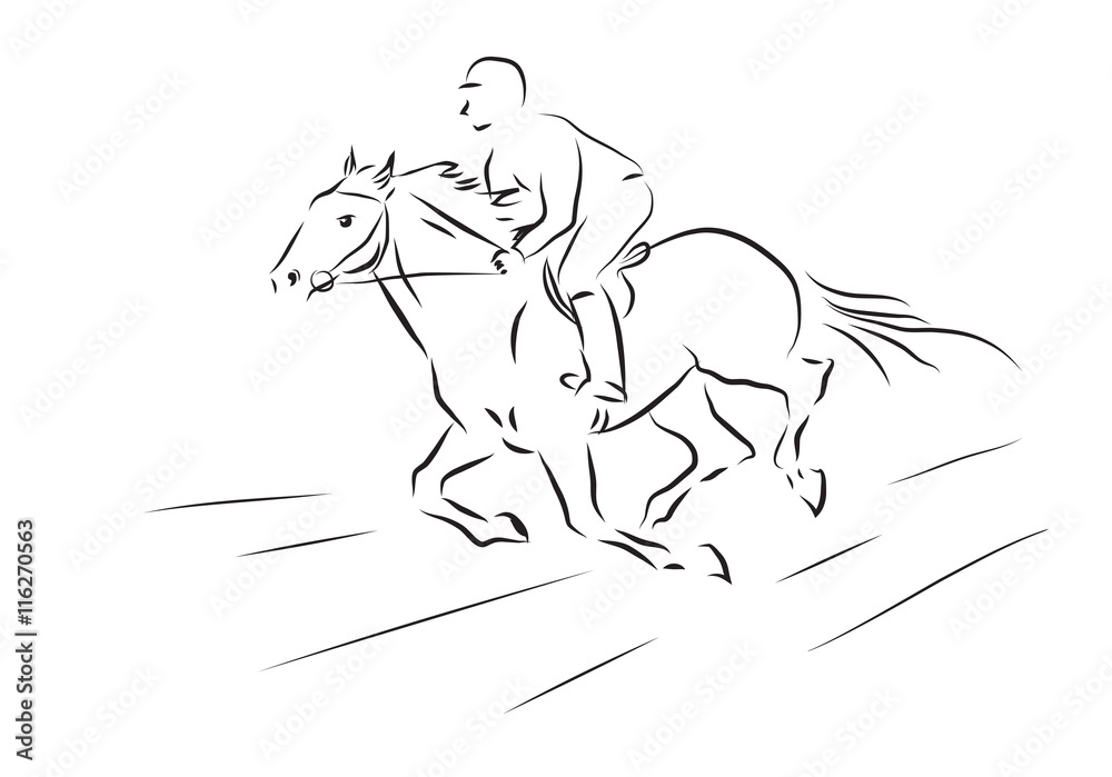 Fototapeta premium vector illustration of sketch horseman galloping on horse