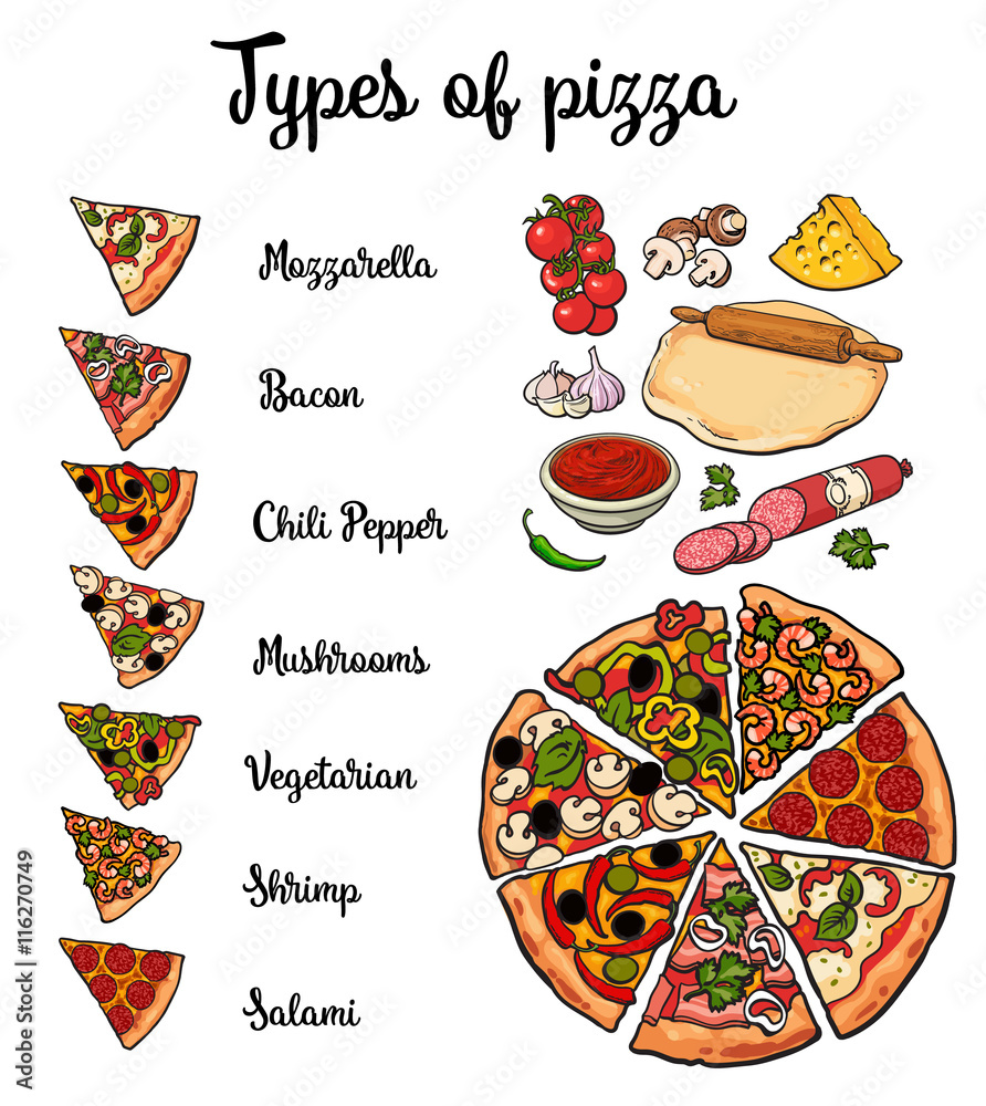 Set of various types of pizza and pizza ingredients, sketch style