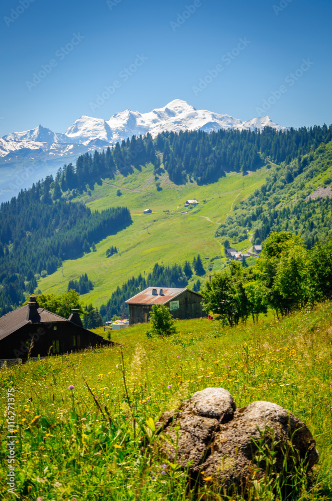 Panorama et Mont Blanc