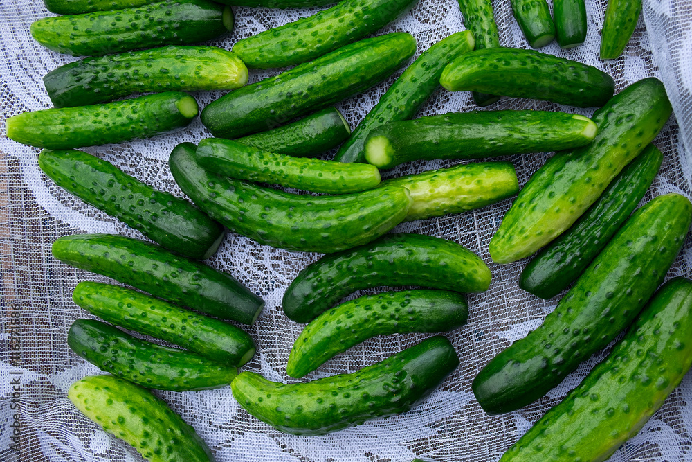 Green cucumbers background. Top View Green cucumbers background. Top View