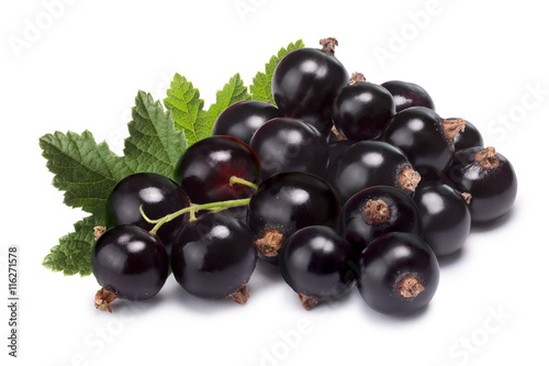 Cluster (bunch) of blackcurrant