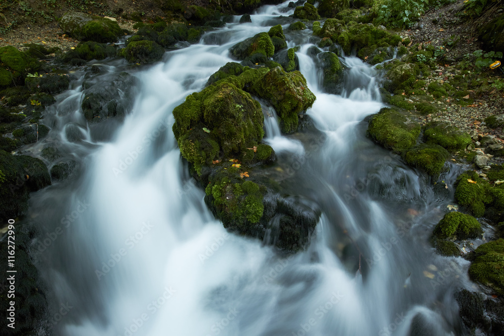 fast flowing rivers in the forests of Montenegro