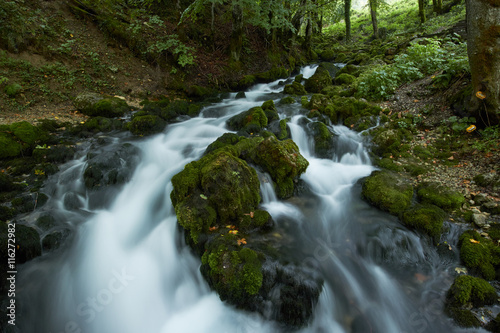 fast flowing rivers in the forests of Montenegro