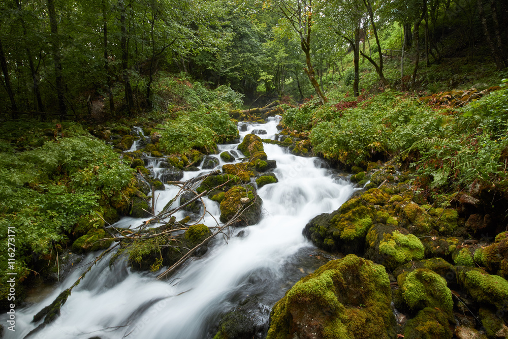 fast flowing rivers in the forests of Montenegro