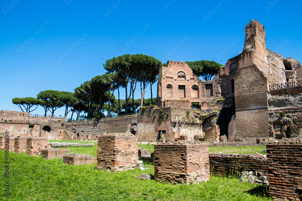 the ruins of the Stadium on the Palatine Hill in Rome, Italy