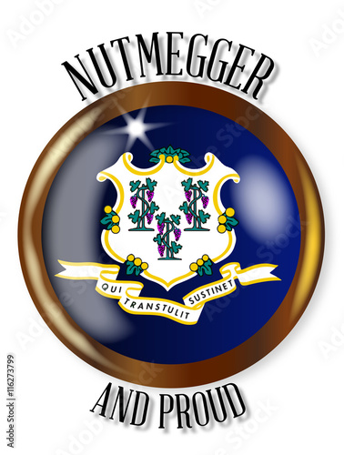 Connecticut Proud Flag Button photo