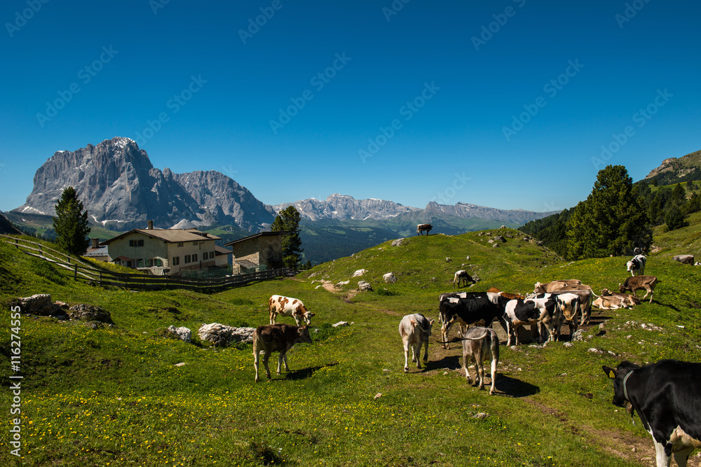 Gardena valley, Dolomites