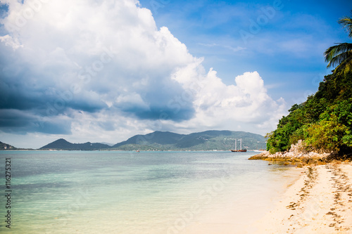 Tropical beach with palm tree and sailing ship in distance