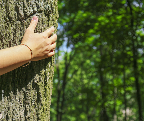 Female hand on the tree on the background of the Park. The concept of connection with nature.
