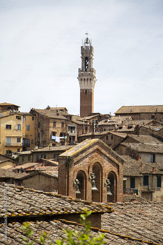 Fototapeta premium Siena, Italy