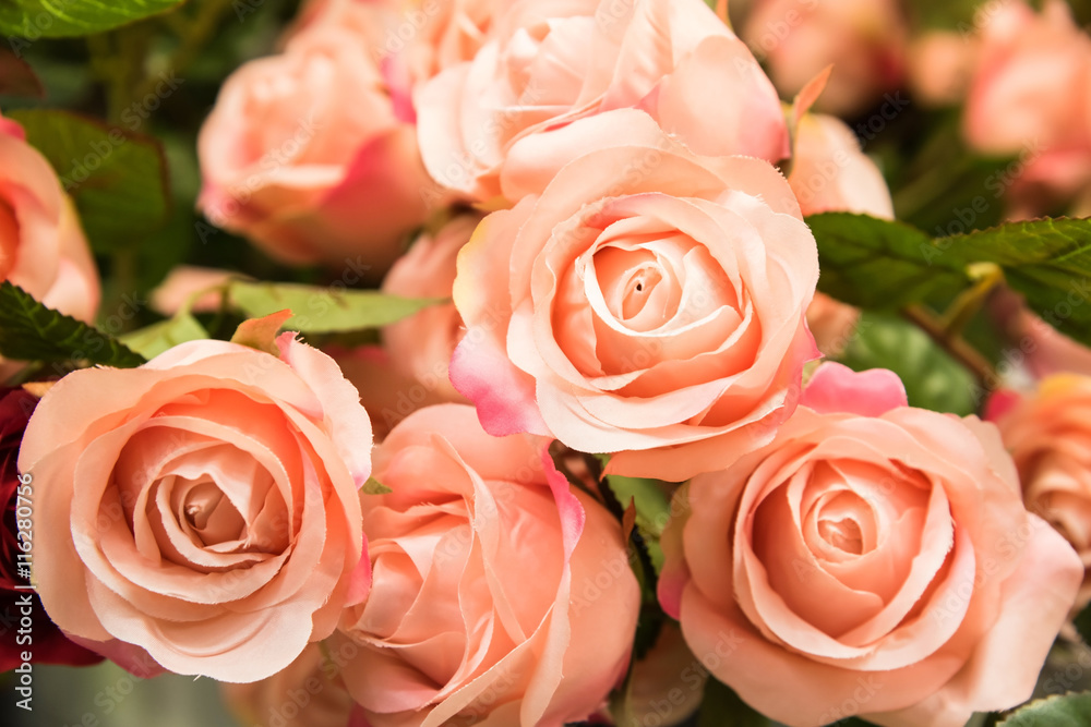 Artificial pink roses background