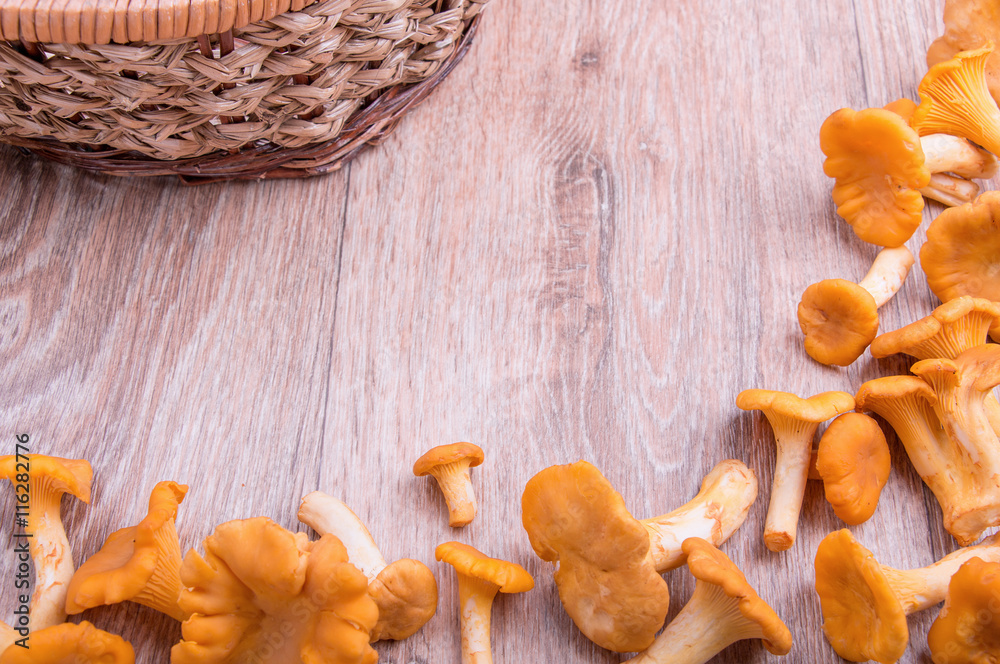 chanterelle mushrooms on wood background.