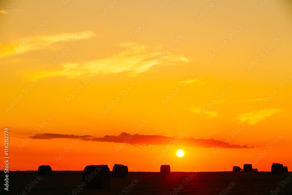 Summer Field Meadow With Hay Bales Silhouettes Under Sunset Sunlight