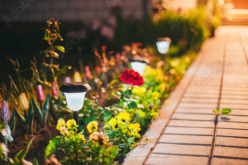 Small Solar Garden Light, Lantern In Flower Bed. Garden Design. 
