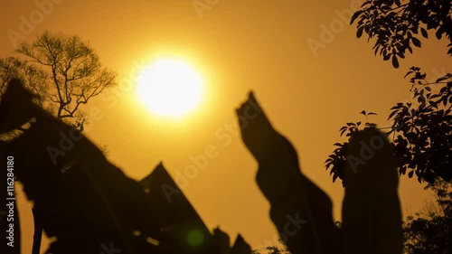 Video 1080p - Hot sun over the tropical forest in the dry season. Thailand