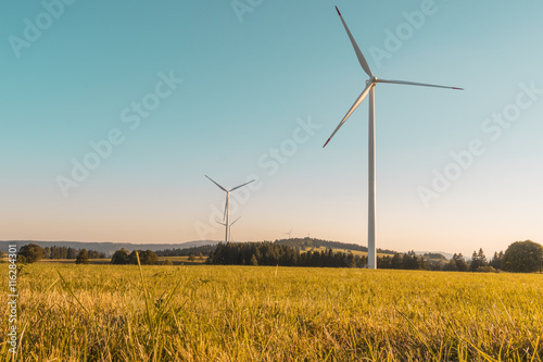 Windkraftwerk zur ökologischen Strom Produktion auf einer Wiese mit blauem Himmel