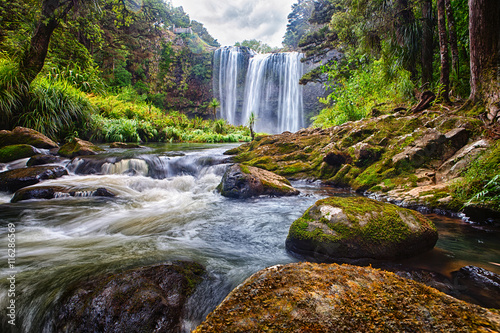 Fototapeta Naklejka Na Ścianę i Meble -  waterfall in the bush, New Zealand