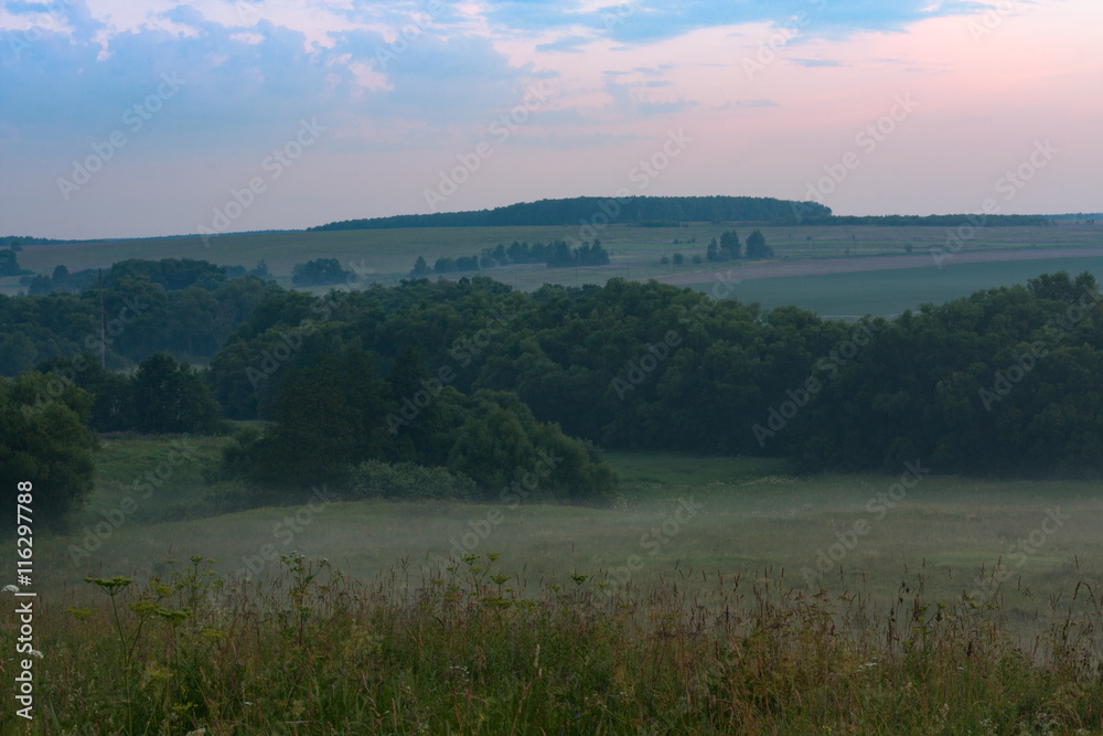 Summer Nature. Countryside. Wild Nature. Summer Nature. Countryside. Wild Nature.