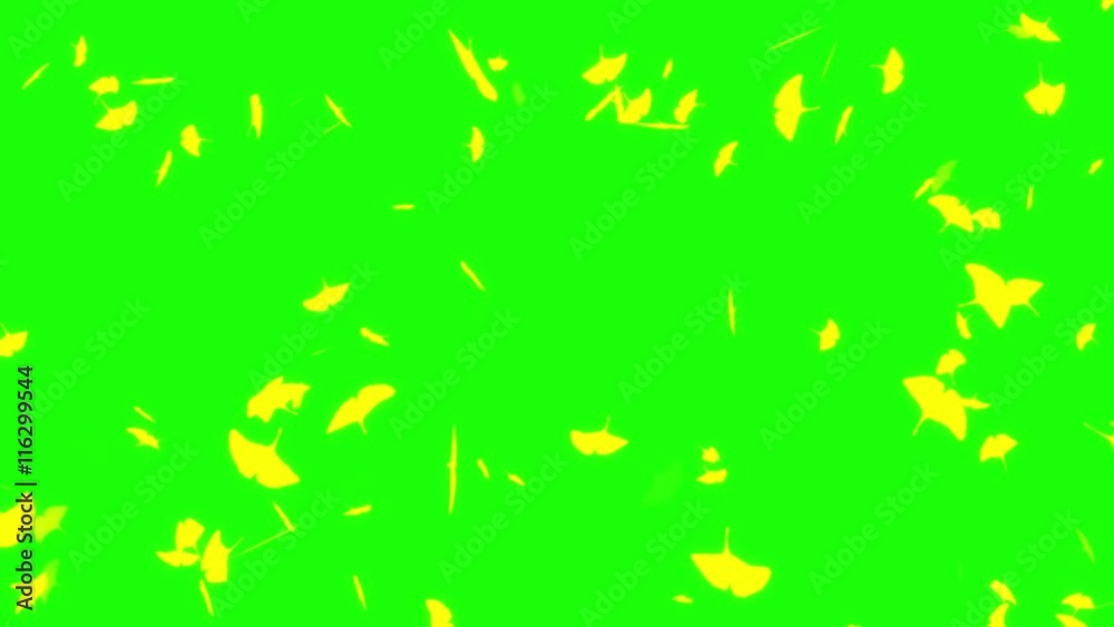 back ground loop CG back ground loop CG