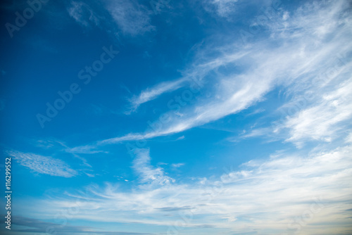 blue sky and white cloud in a sunny day