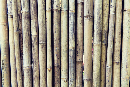 bamboo cane wall texture