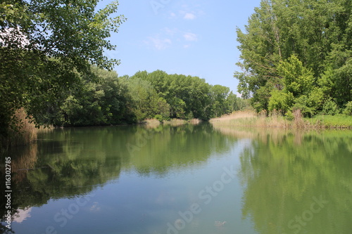 Natural reserve of distributaries of Danube river near Vojka  Slovakia