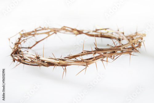 Foto Crown of Thorns lies on light background
