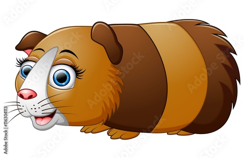 Cartoon guinea pig isolated on white background