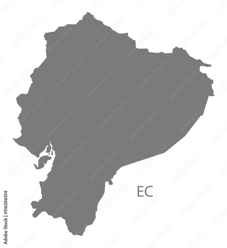 Ecuador Map grey