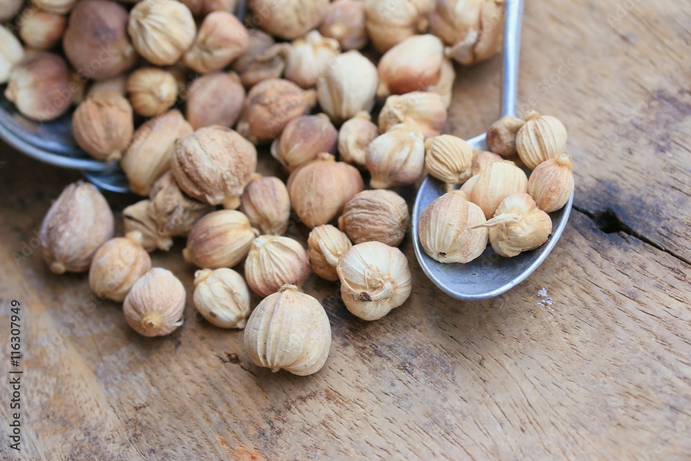cardamom cardamom