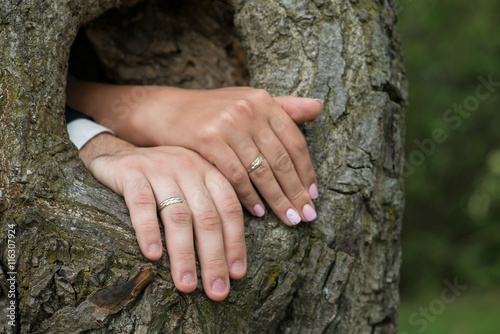 wedding rings on the hands of newly-married couple