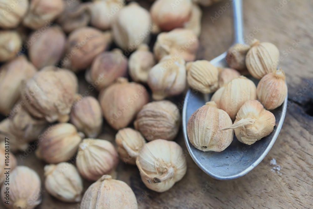 cardamom cardamom
