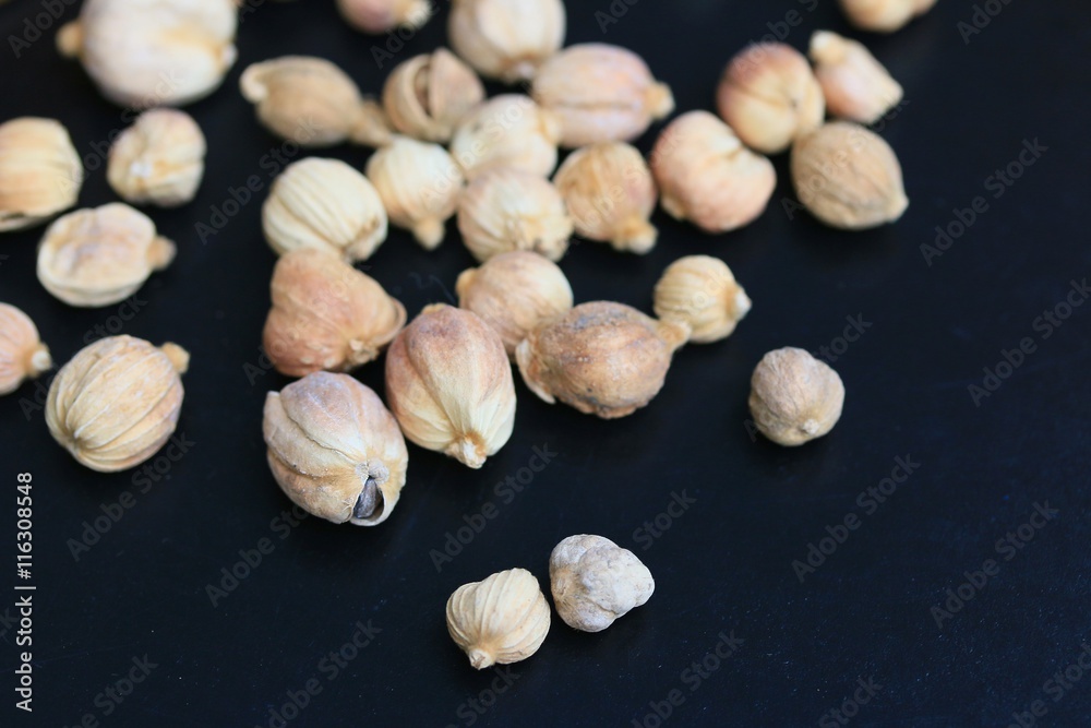 cardamom cardamom