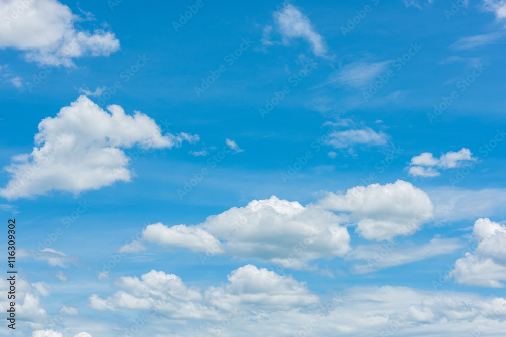 Fototapeta premium blue sky with cloud