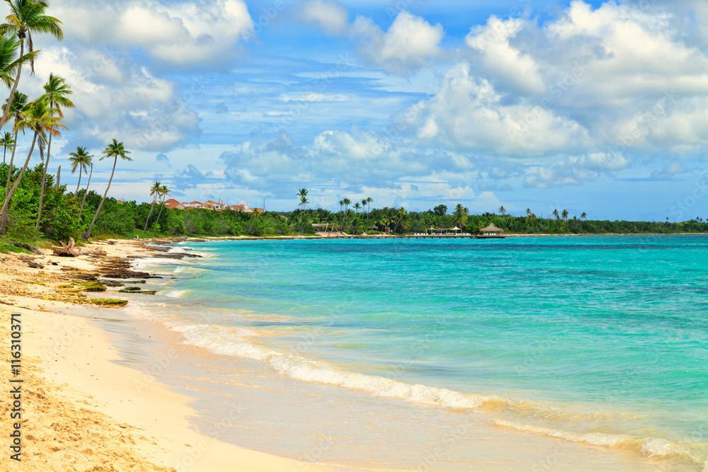 Naklejka premium Tropical beach in Dominican Republic.